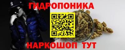 гашик Новокубанск