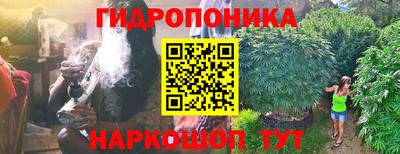 первитин Новодвинск