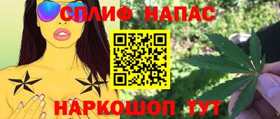 шишки Новозыбков