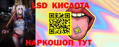 шишки Новозыбков