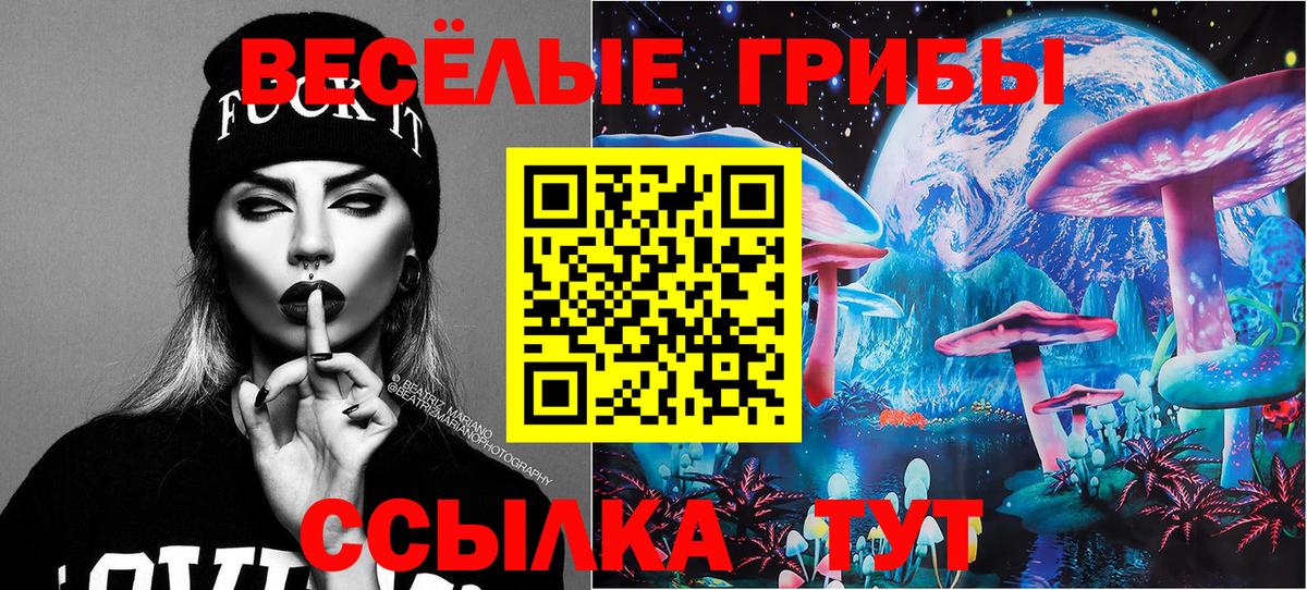 Галлюциногенные грибы Cubensis  Вход с VPN  Верхний Уфалей 